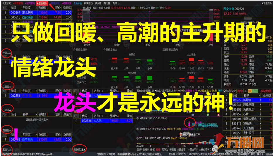 【情绪龙战法系统】黄金甲指标分钟信号等套装软件+战法文件
